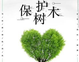 保护树木演讲稿英语作文｜Protect Trees